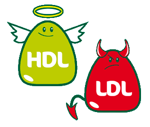 HDL