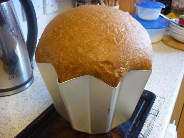 pandoro