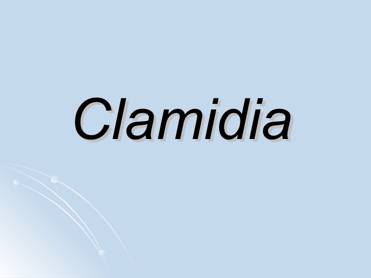 clamidia 1 728