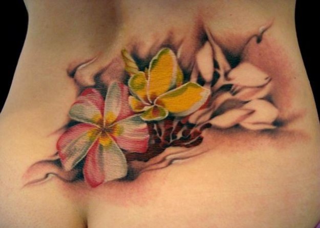 fiori di loto sulla schiena