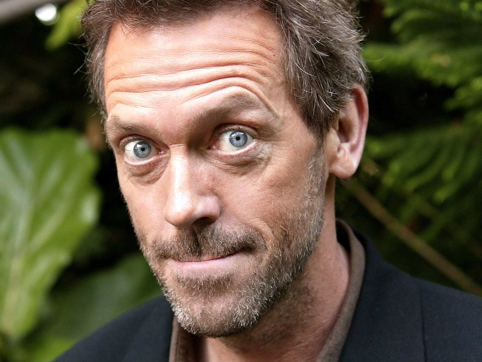 Hugh Laurie