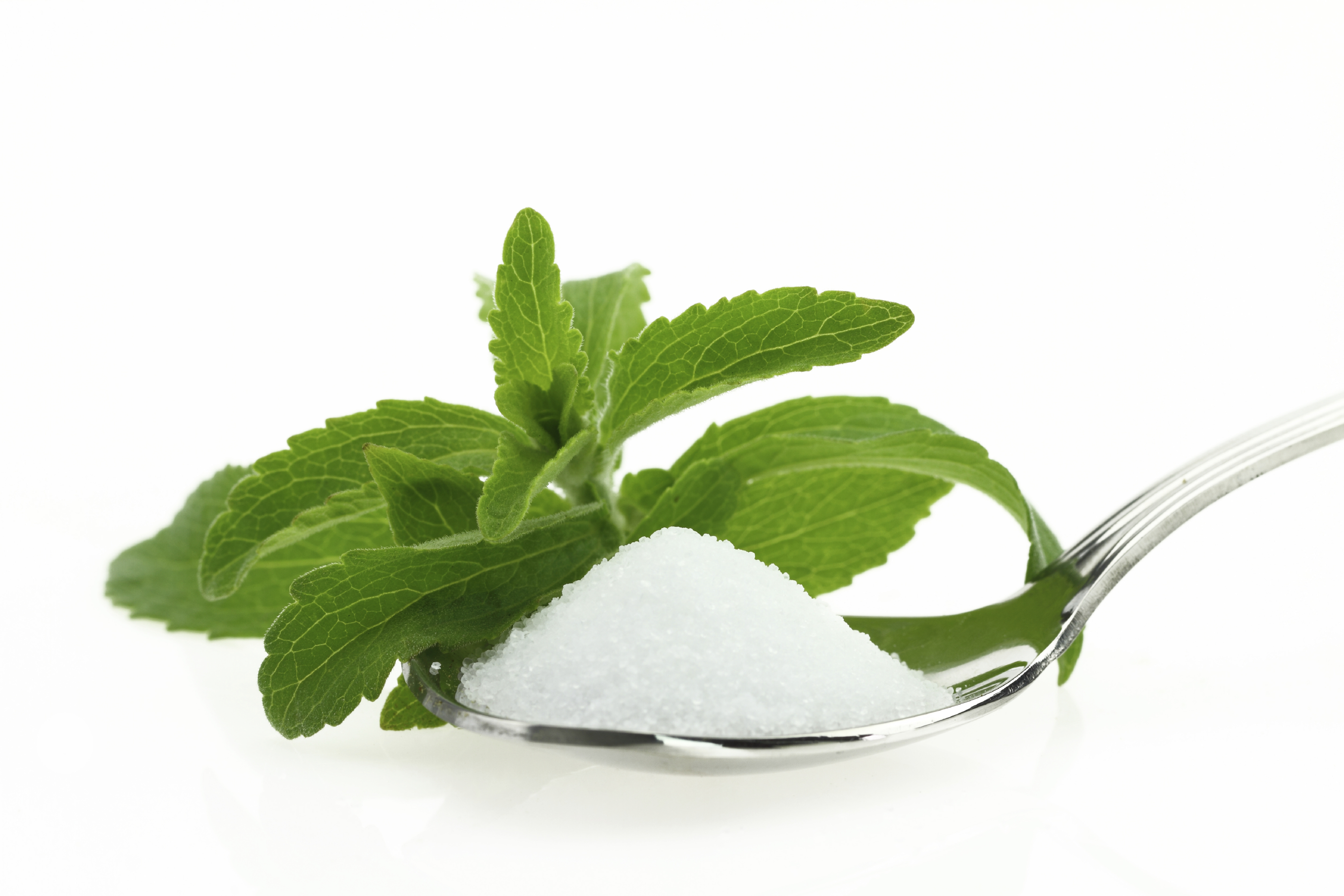 What about stevia