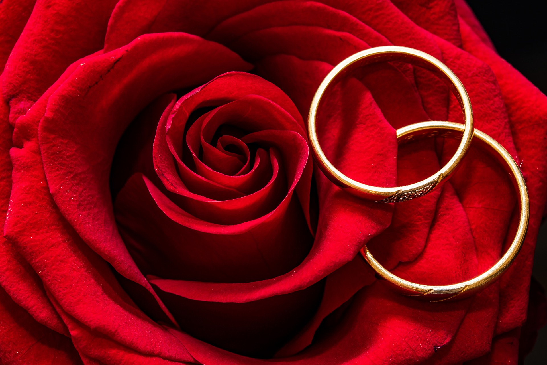 Anniversario Di Matrimonio 24 Anni.Quali Fiori Regalare Per Nozze D Oro Donne Magazine