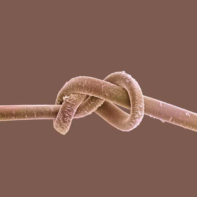 42 29390673copia.630x360