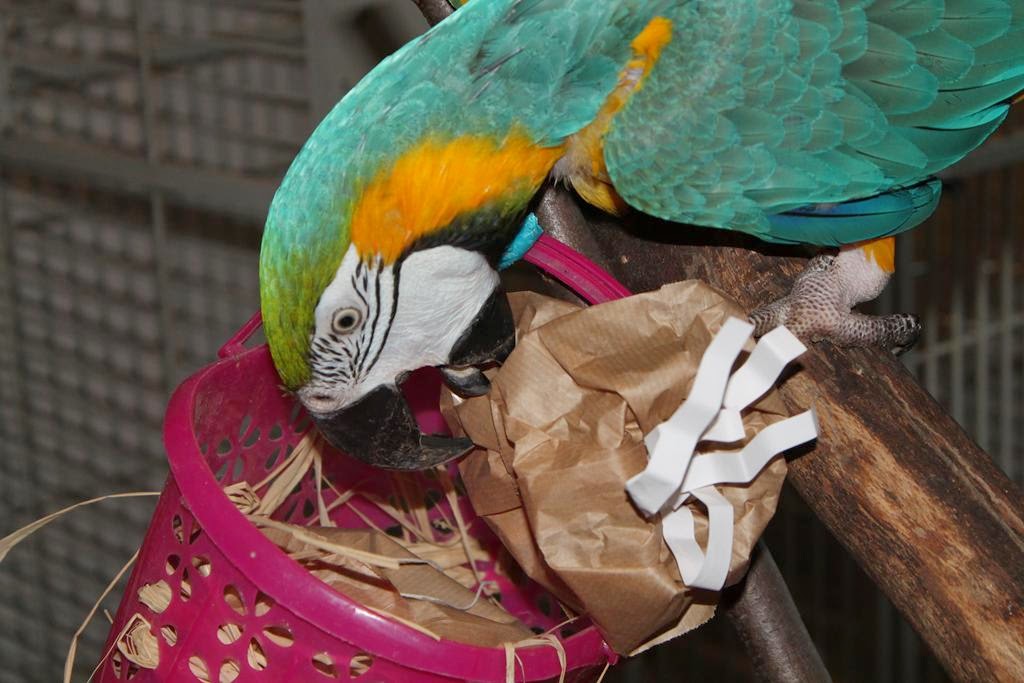 14549572543 077c91f7f2 o