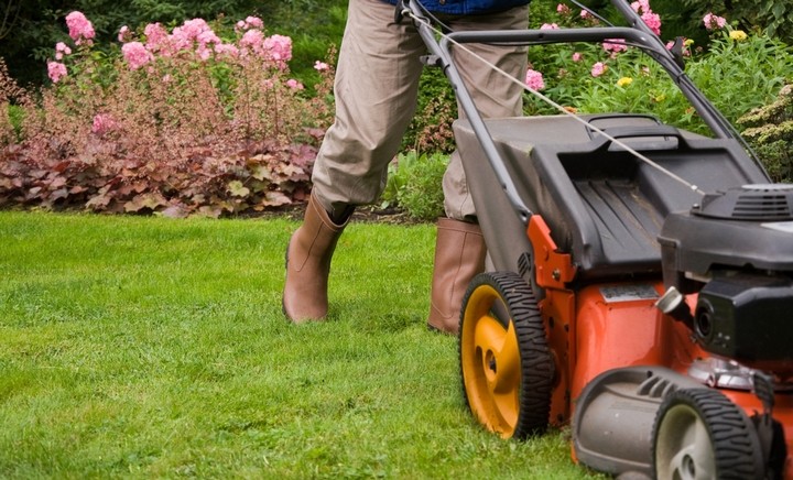 Come organizzare pulizie del giardino