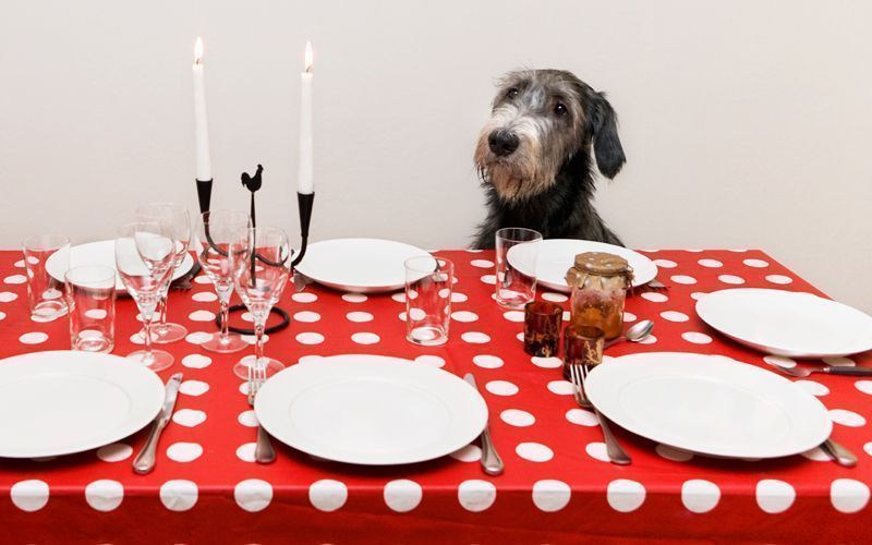 Regole del galateo a tavola