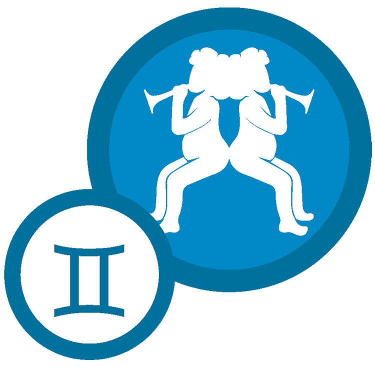 Oroscopo benessere gemelli uomo gennaio 2016