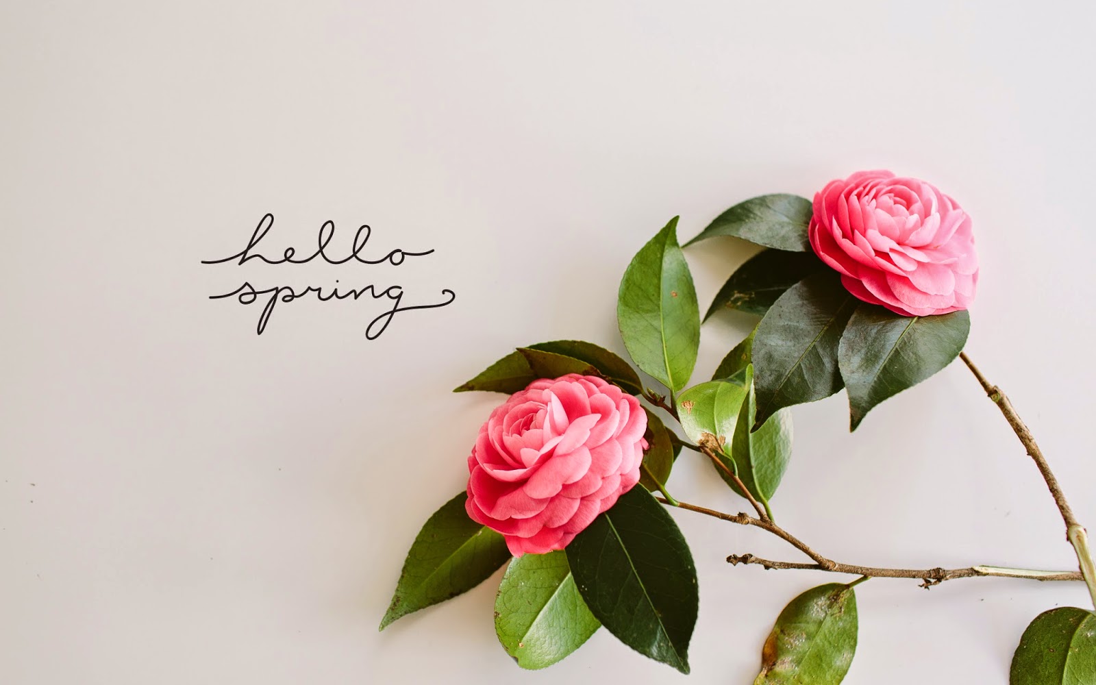 5 libri da leggere che raccontano la primavera 1