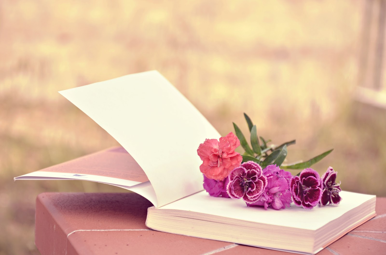 Migliori libri da leggere per la primavera