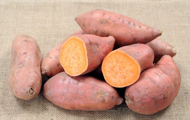 Quando si piantano le patate americane: consigli