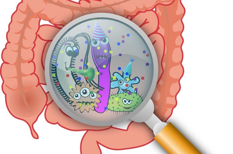 Virus intestinale