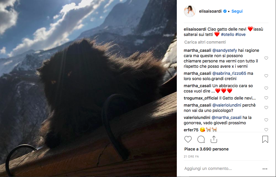 Post Elisa Isoardi Ig gattino