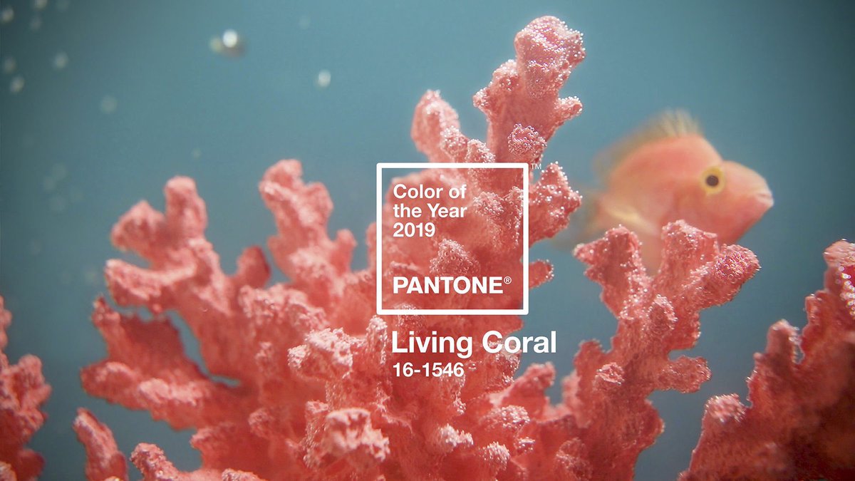 pantone