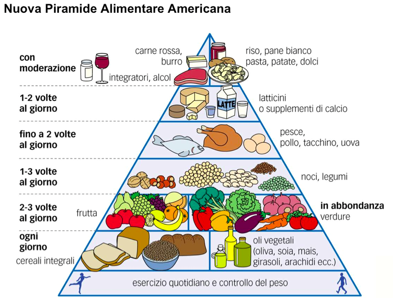 piramide alimentare