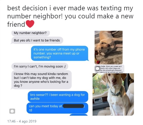 number neighbour challenge