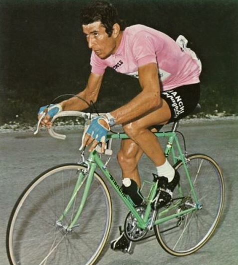 gimondi