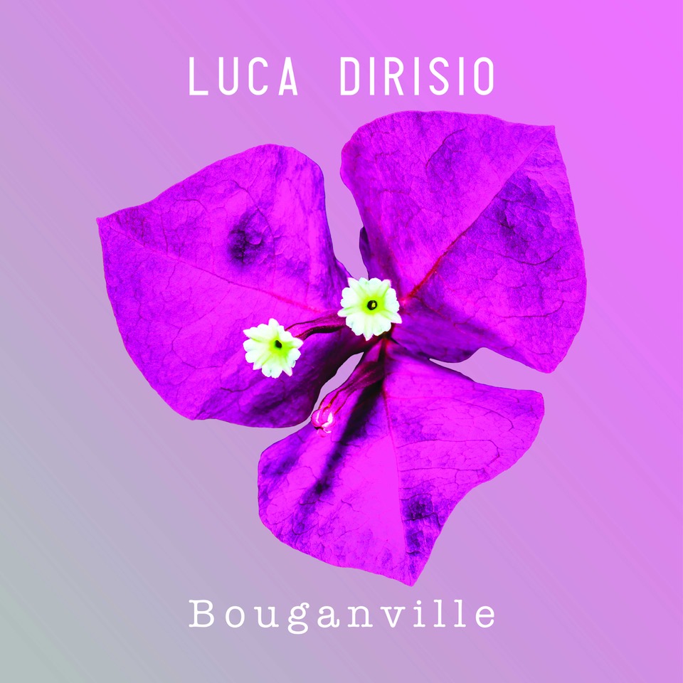 luca dirisio Bouganville