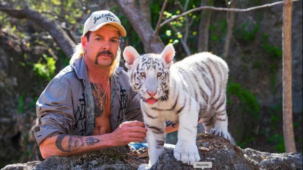 tiger king netflix