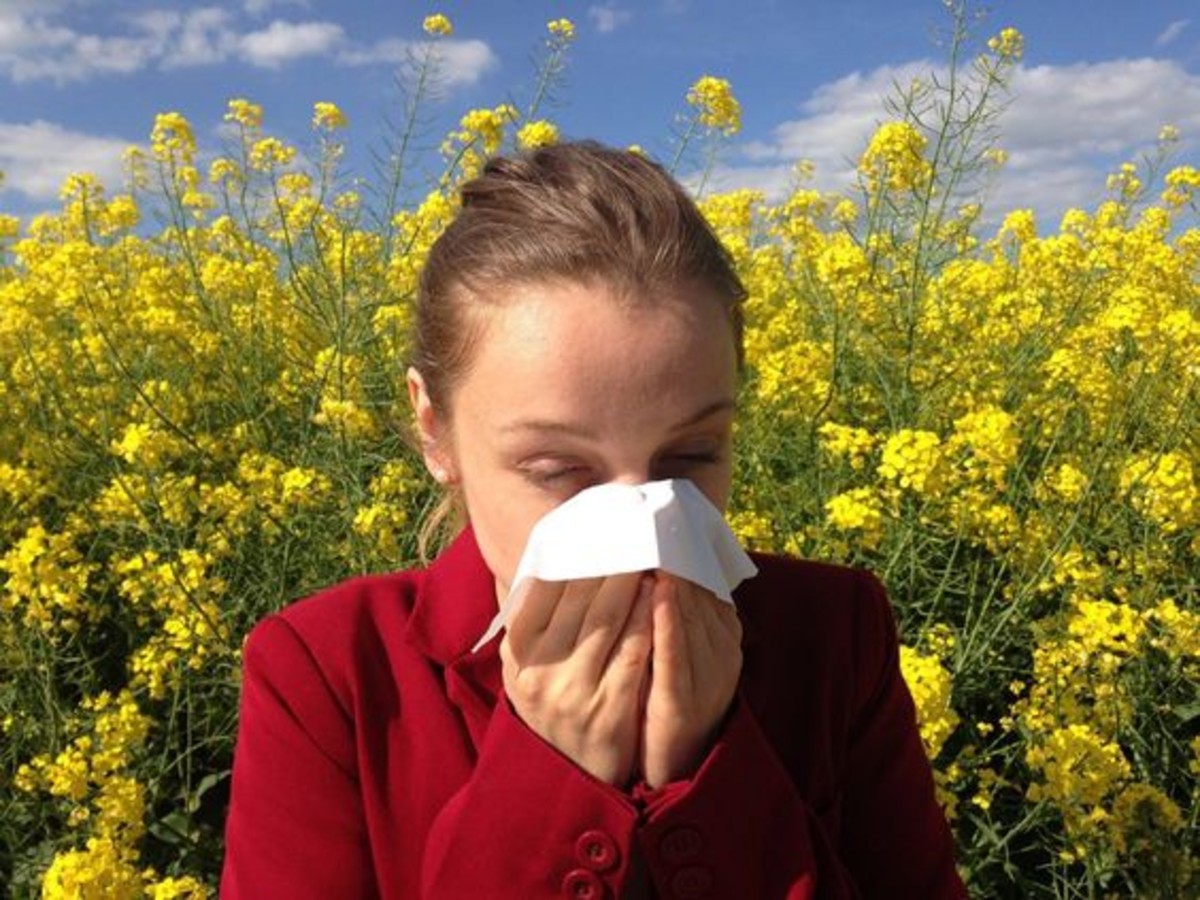 allergie di stagione