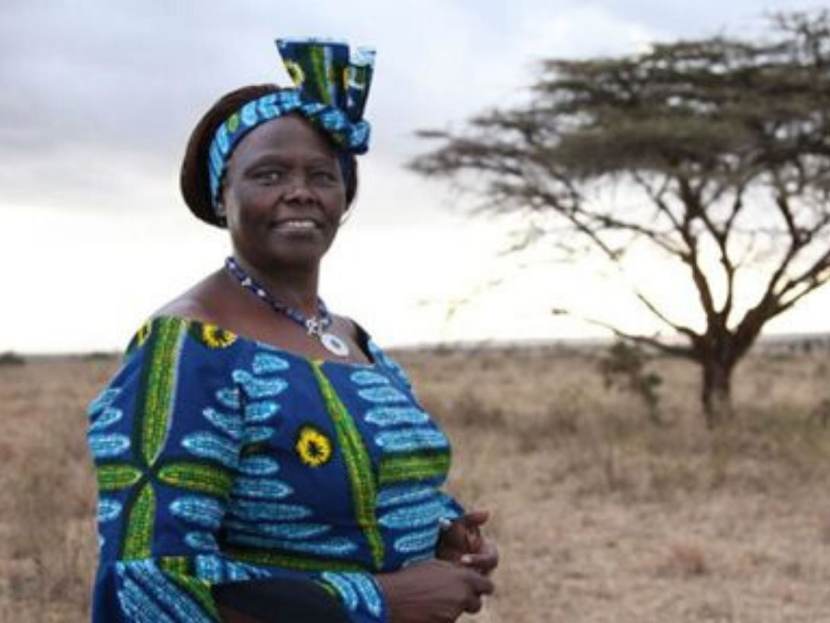 Wangari Maathai chi era