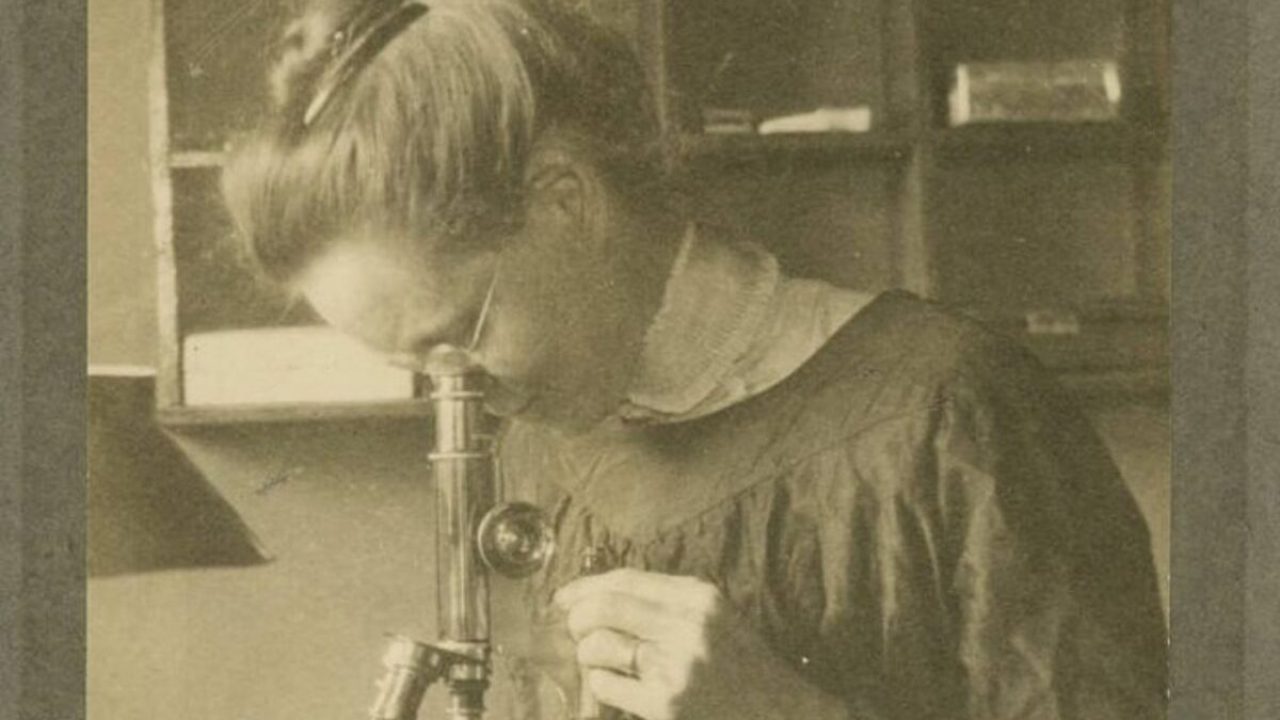 Chi era Nettie Stevens: tutto sulla scienziata | Donne Magazine