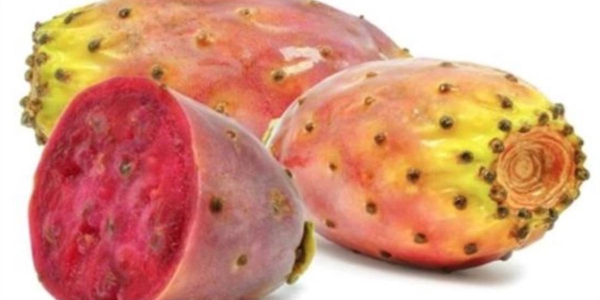 fichi di india proprietà controindicazioni