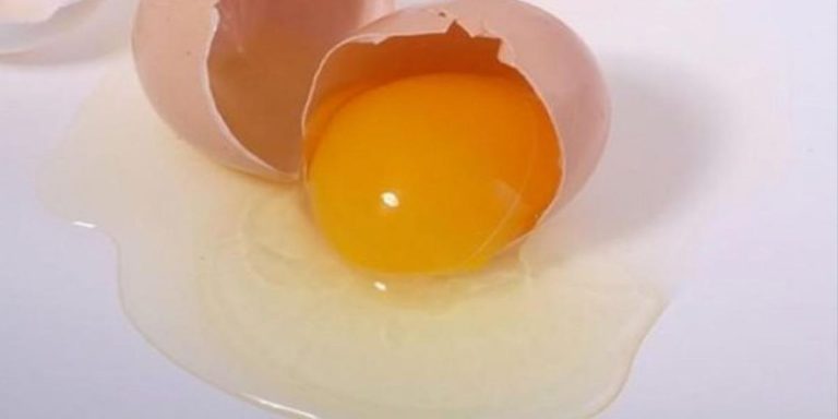 albume uovo benefici