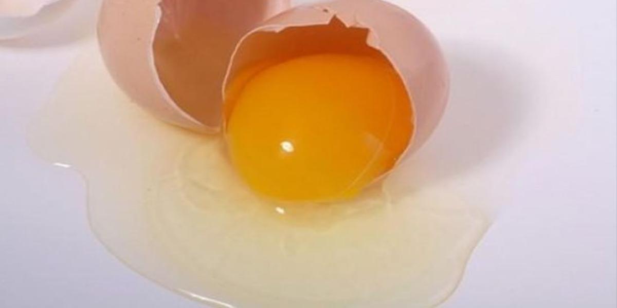 albume uovo benefici