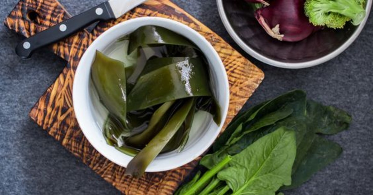alga kombu