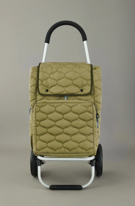 Carrello Zara autunno inverno 2020/2021