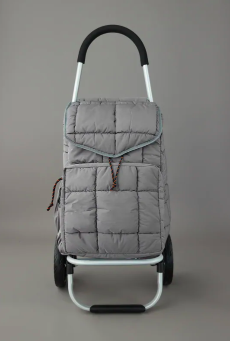 Carrello zara autunno inverno 2020/2021