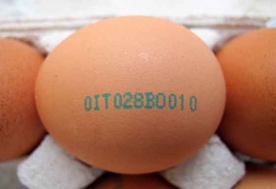come scegliere le uova al supermercato