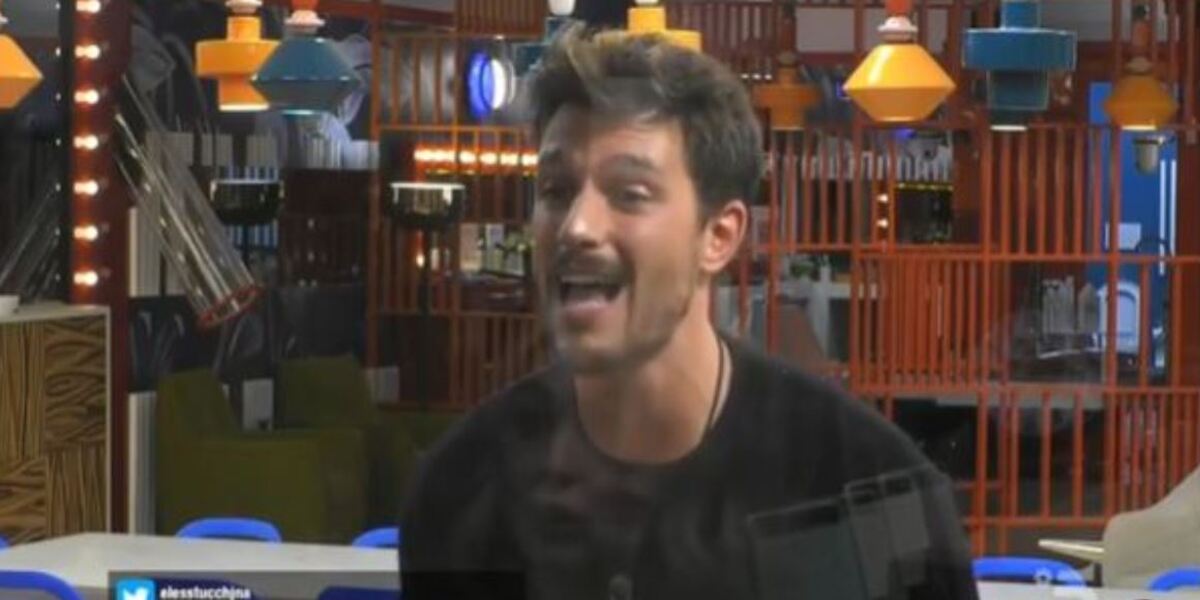 gf vip andrea zelletta alice fabbrica