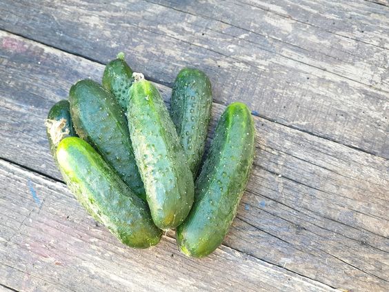 maschere idratanti viso fai da te