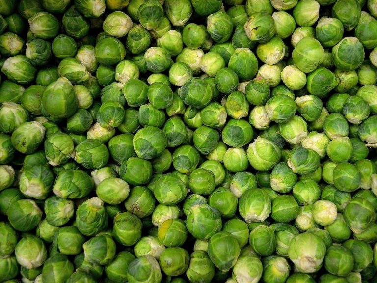 dieta con i cavolini di bruxelles