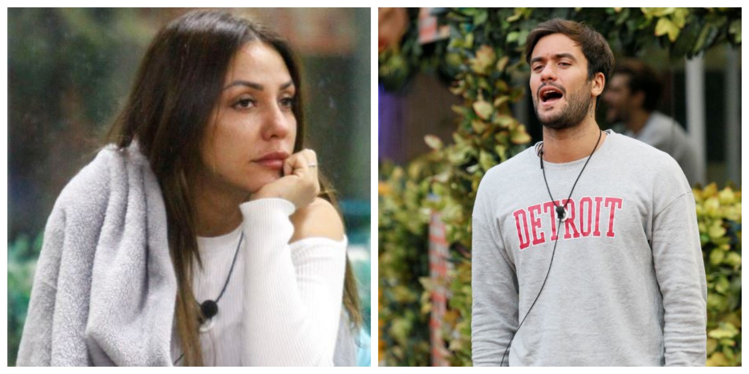 gf vip pierpaolo selvaggia confronto