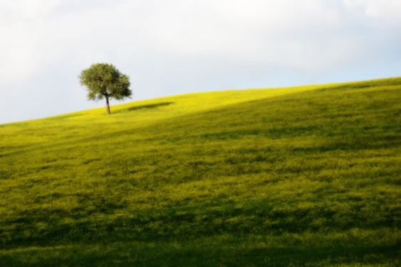 regali di natale a domicilio