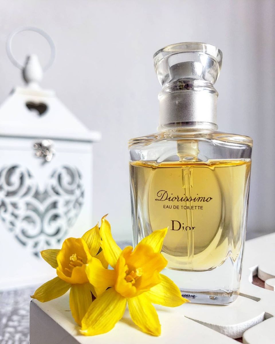 profumi per segni zodiacali