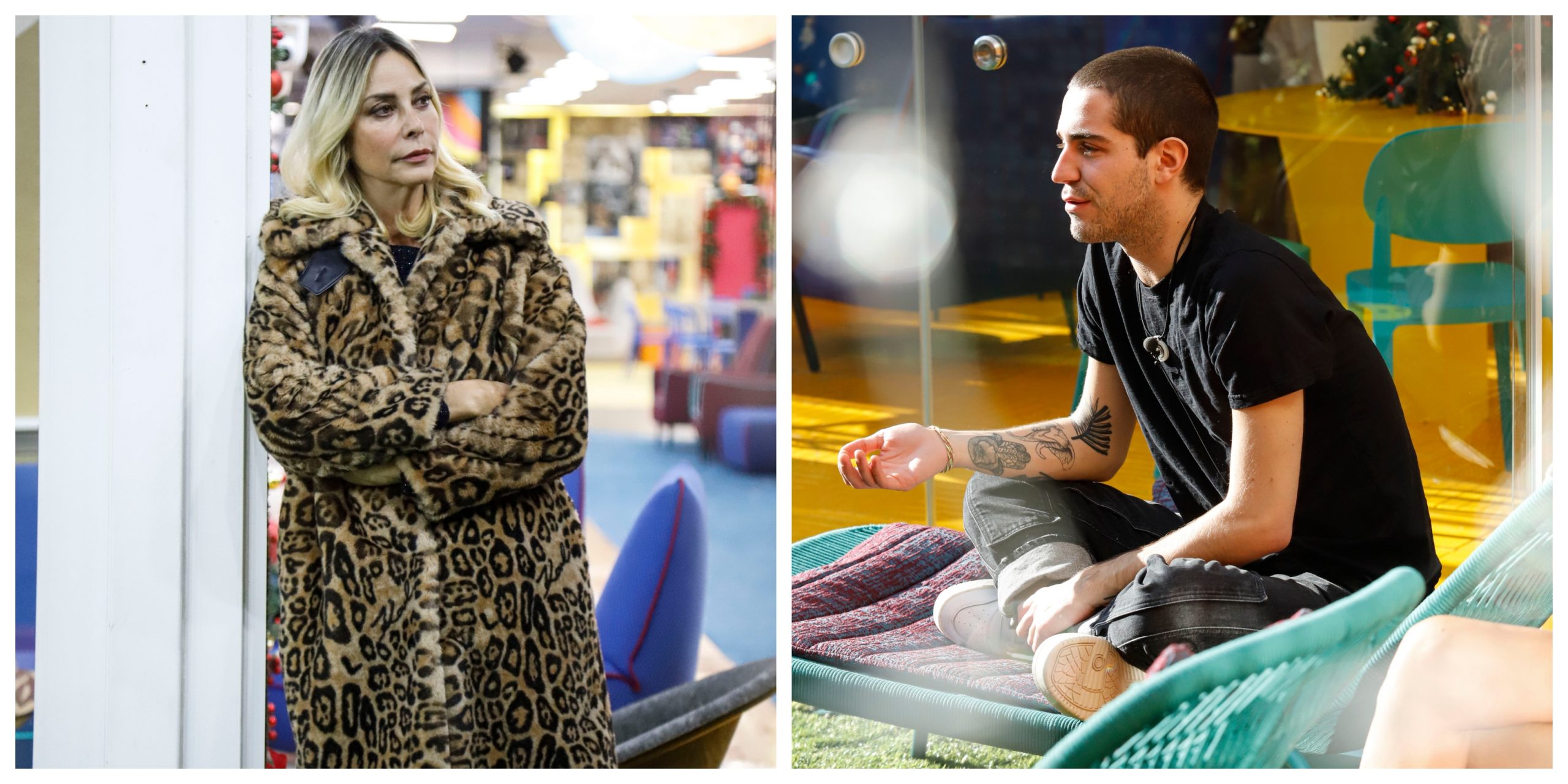 tommaso zorzi stefania orlando nomination