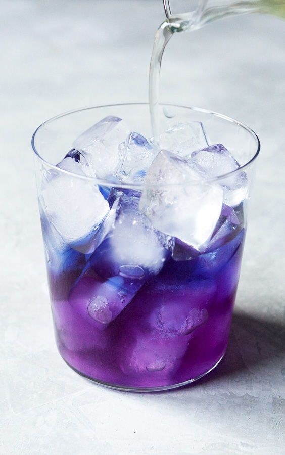 butterfly pea tea come fare