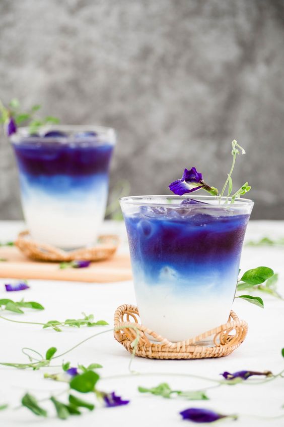 butterfly pea tea come fare