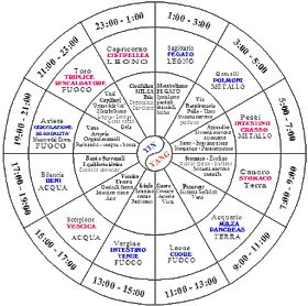 ritmo circadiano come funziona