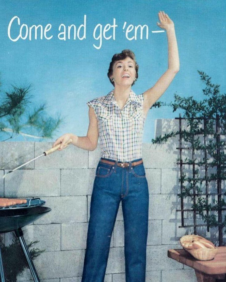 chi era levi strauss