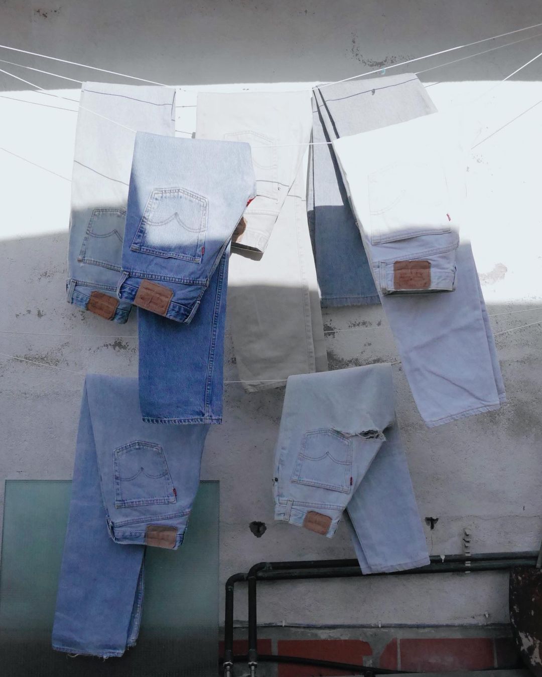 chi era levi strauss