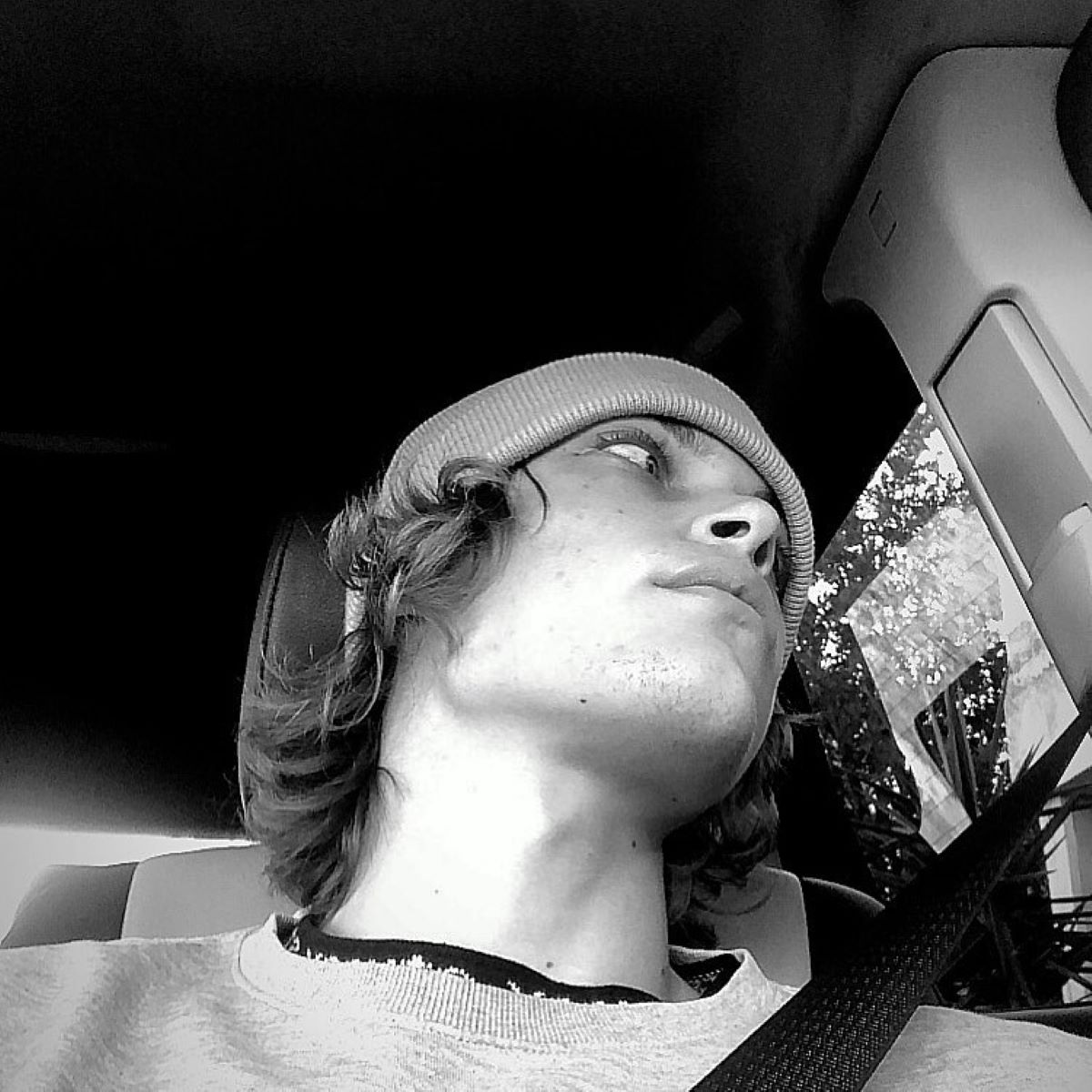 massimiliano mollicone chi e