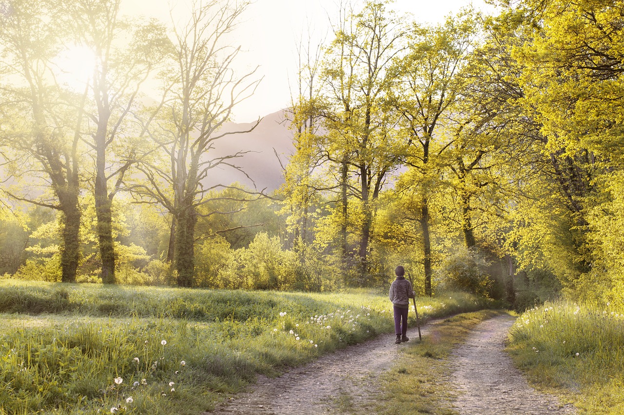 passeggiata natura