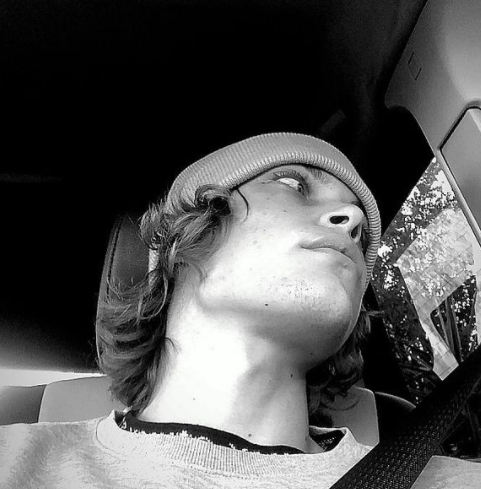 massimiliano mollicone chi è