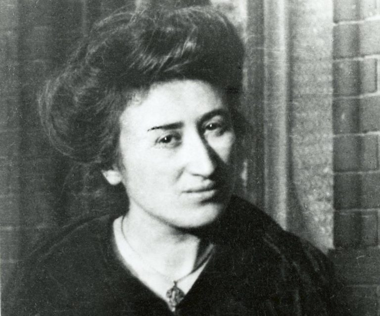 chi era rosa luxemburg