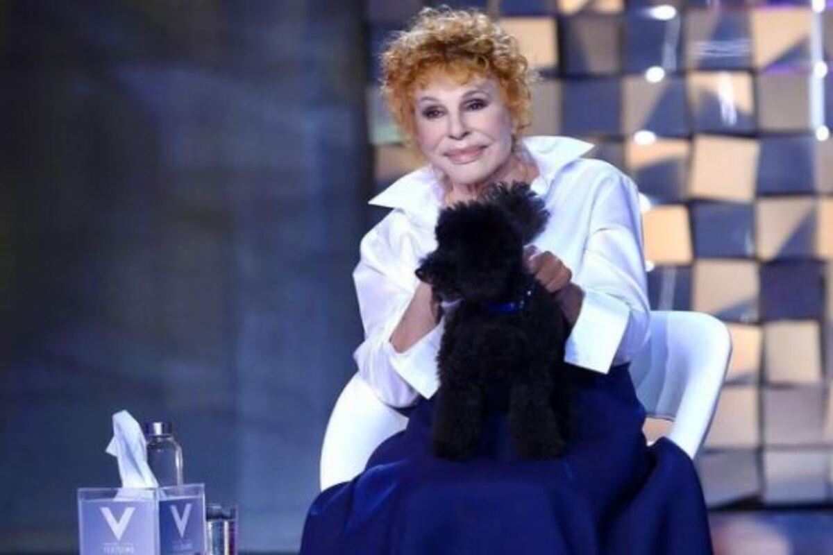 verissimo ornella vanoni gaffe